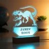 Personalised Dinosaur Wooden Based LED Light -Personalise Store p0113a67