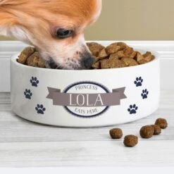 Personalised Blue Paws 14cm Medium White Pet Bowl -Personalise Store p0805g49 3