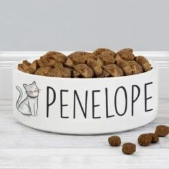 Personalised Scribble Cat 14cm Medium Pet Bowl 9 Personalised Scribble Cat 14cm Medium Pet Bowl -Personalise Store p0805k69 3
