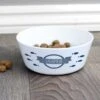Personalised Fish Plastic Cat Bowl -Personalise Store p0813b78